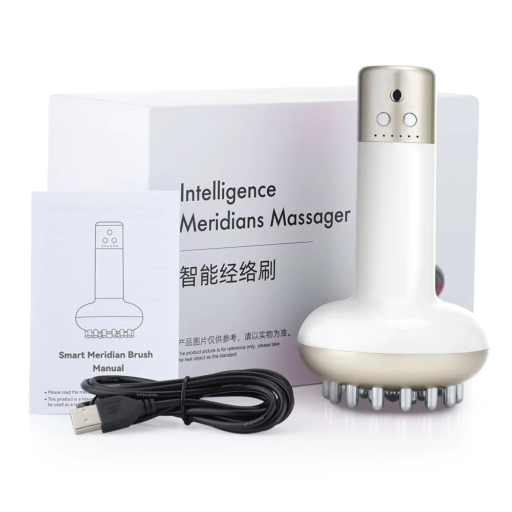 Rechargeable Guasha Massager Body Shaping Heating Meridian Scraping Brush Lymphatic Drainage Machine Fat Burner
